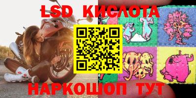 стаф Бийск