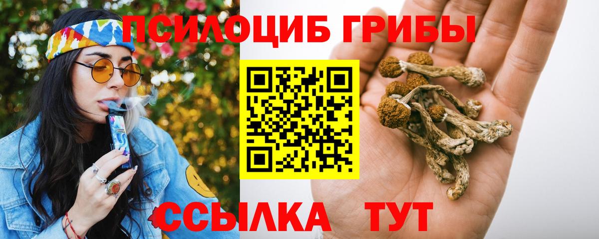 Псилоцибиновые грибы MAGIC MUSHROOMS Ишимбай